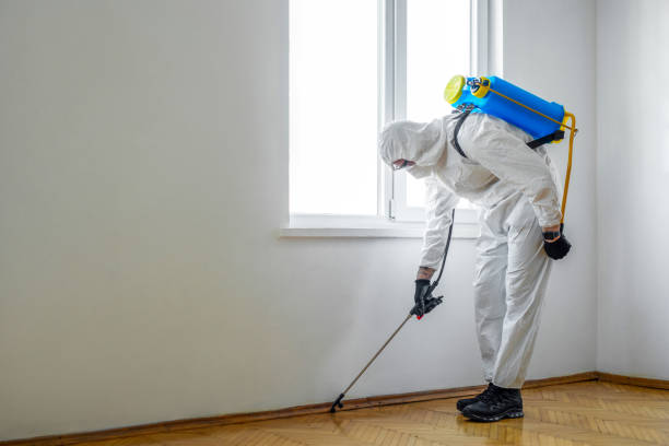 Best Emergency Pest Control  in Leisure City, FL